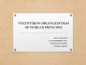 Statistikos organizavimas ir veiklos principai