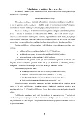 Asfaltbetonio gamyba karštuoju ir šaltuoju būdais 3