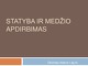 Statyba ir medžio apdirbimas projektas
