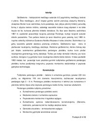 Surenkamos kiaurymėtos gelžbetoninės perdangos 2
