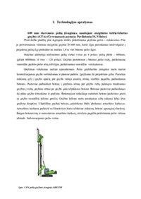 Polių įrengimo technologinė kortelė 3