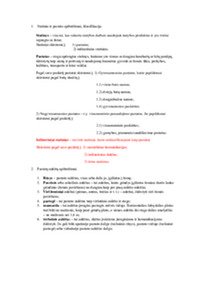 Konstrukcijų konspektas 1