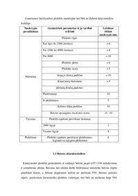 Kiaurymėtų perdangos plokščių gamybos technologija 3