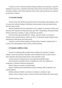 Statybinė medžiaga: cementas 3