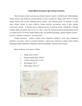 Remonto darbai Namo rekonstrukcija 2