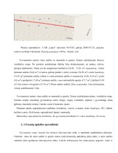Remonto darbai Namo rekonstrukcija 3
