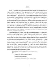 Stresas ir jo valdymas referatas 3