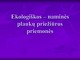 Ekologiškos naminės plaukų kaukės