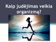 Judejimas skaidrės