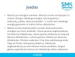 Vyrų ir moterų kalorijų suvartojimas 2