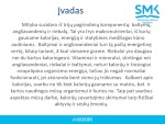 Vyrų ir moterų kalorijų suvartojimas skaidrės 2