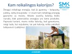 Vyrų ir moterų kalorijų suvartojimas skaidrės 3