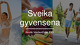 Sveikos gyvensenos principai
