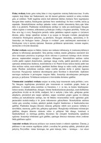 Sveikatos samprata įvairiuose amžiaus tarpsniuose 2