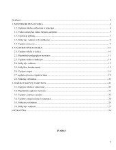 Netradicinės ugdymo formos: valdorfo, montessori, suzuki pedagogika 2