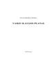 Vaiko slaugos planas (2)