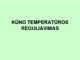 Kūno temperatūros reguliavimas