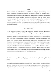 Spektaklio „Klaros santykiai“ analizė 2