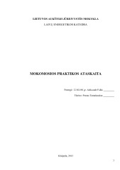 Technologijų praktikos ataskaita tekinimas suvirinimas sriegikliai 1