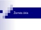 Skaidrės žemės ūkis