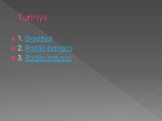 Radijas pristatymas 2