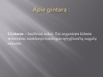 Gintaras pristatymas 3