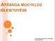 Apranga mokyklos išleistuvėse