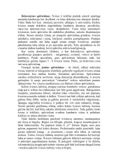 Interjero apšvietimas 2
