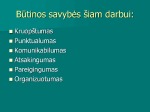 Skaidrės apie profesiją - admininstratorė 3
