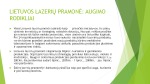 Lazerių pjovimo paslaugos Lietuvoje 2