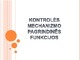 Kontrolės mechanizmo pagrindinės funkcijos