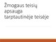 Žmogaus teisių apsauga tarptautinėje teisėje 