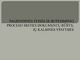 Pagrindinės teisės ir ikiteisminio proceso srities dokumentų rūšys, jų kalbinės ypatybės