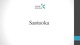 Santuokos sudarymas