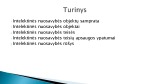 Intelektinės nuosavybės teisė 2