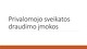 Privalomojo sveikatos draudimo įmokos prezentacija