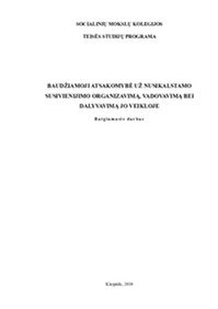 Baudžiamoji atsakomybė už nusikalstamo susivienijimo organizavimą, vadovavimą bei dalyvavimą jo veikloje 1
