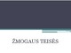 Žmogaus teisės skaidrės
