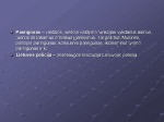 Policija skaidrės 3