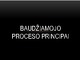 Baudžiamojo proceso principai skaidrės