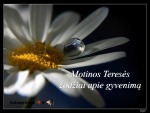Motina Terėsė analizė 1