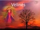 Vėlinės skaidrės