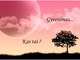 Gyvenimas