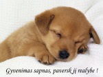 Gyvenimas 3