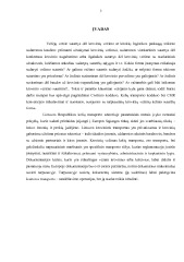 Važtaraščio reikšmė krovinių vežime 3