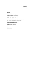 Plentvolis kursinis 2