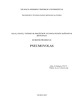 Pneumovolas