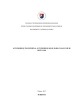 Automobilių transportas, automobilių kelių raida pasaulyje ir Lietuvoje