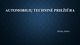 Automobilių techninė priežiūra projektas