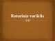 Rotorinis variklis skaidrės